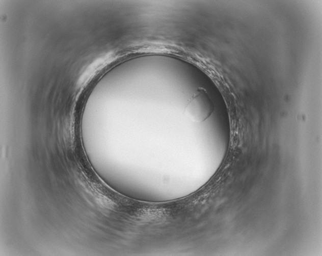 X0000088150296200705141555