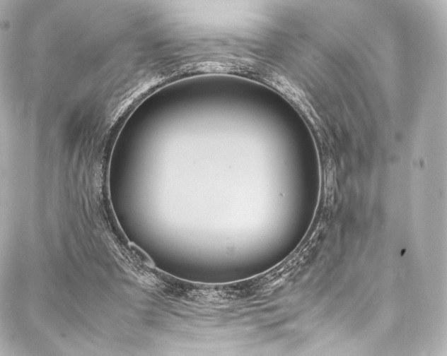 X0000088150297200705141555