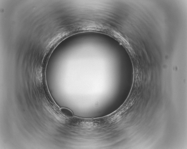 X0000088150298200705141555