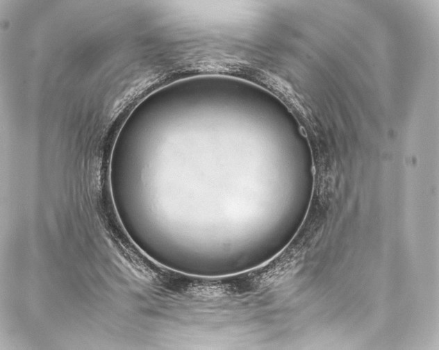 X0000088150299200705141555