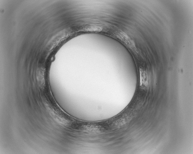 X0000088150300200705141555