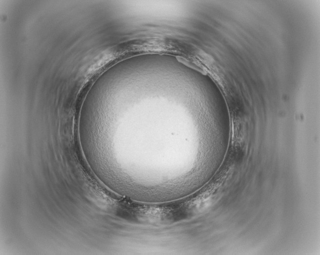 X0000088150301200705141555