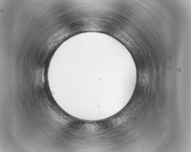 X0000088150302200705141555