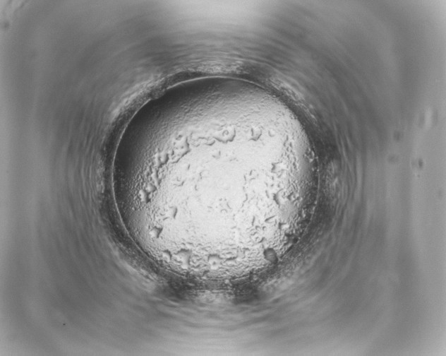 X0000088150303200705141555