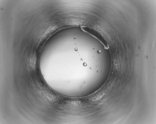 X0000088150304200705141555