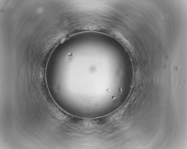 X0000088150305200705141555