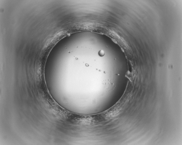 X0000088150306200705141555