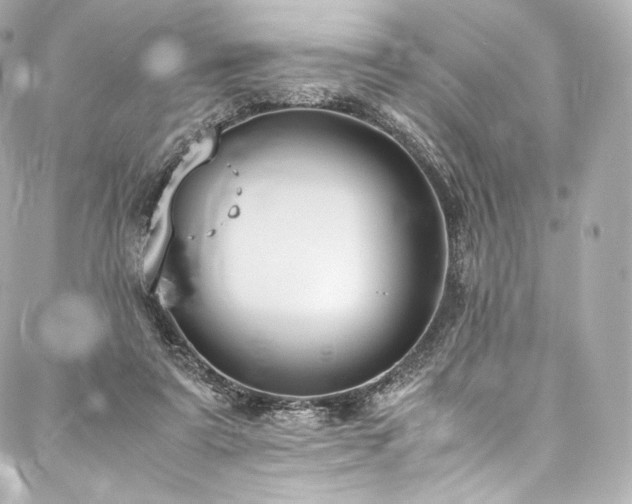 X0000088150307200705141555