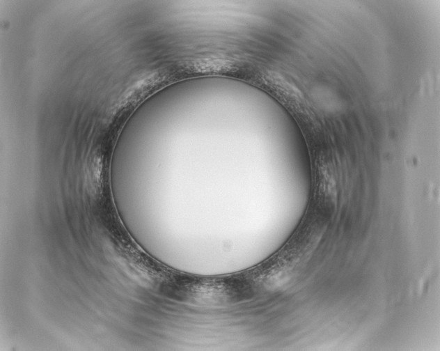 X0000088150308200705141555