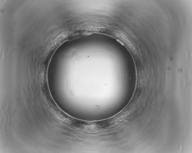 X0000088150309200705141555