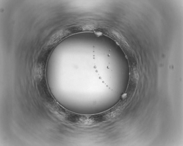 X0000088150311200705141555