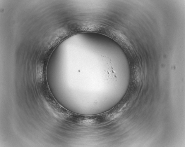 X0000088150312200705141555