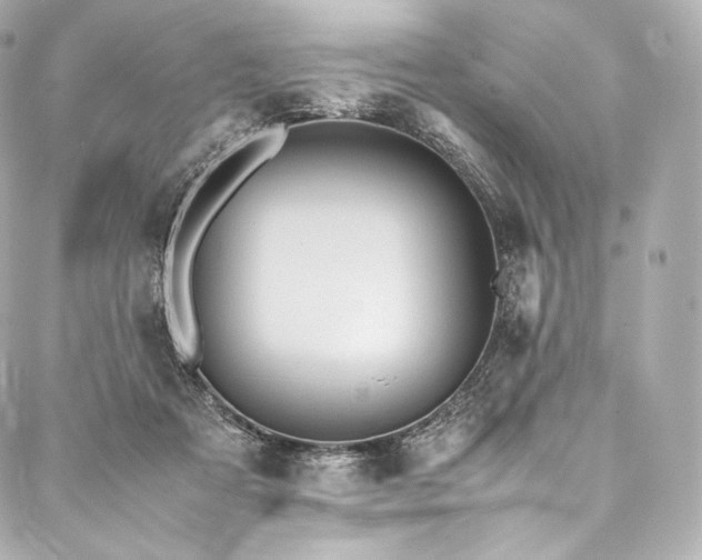 X0000088150313200705141555