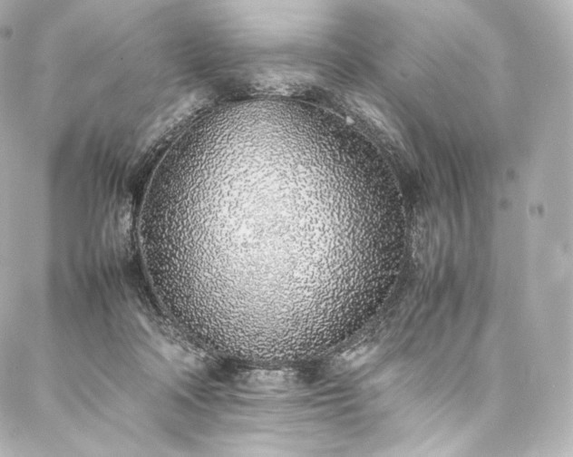 X0000088150314200705141555