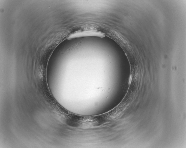 X0000088150315200705141555