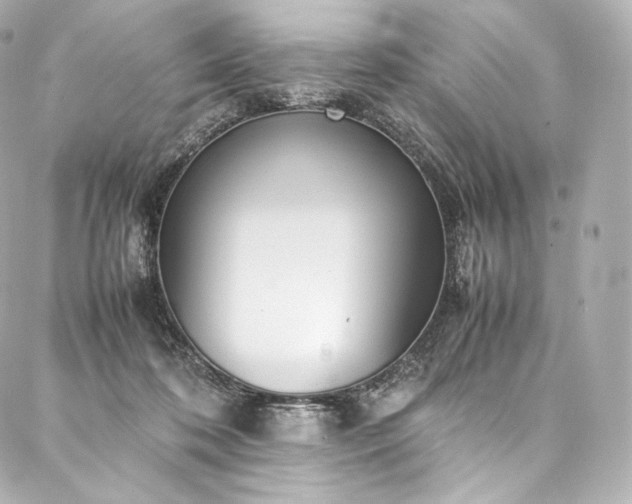 X0000088150316200705141555