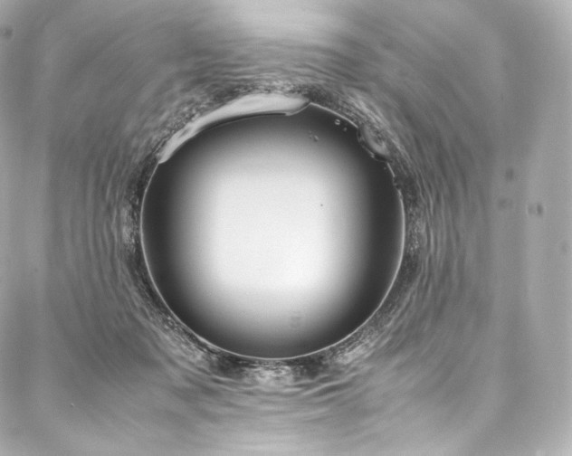 X0000088150317200705141555