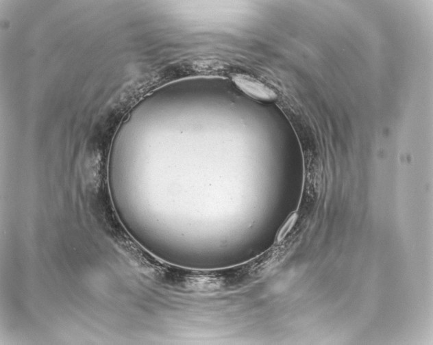 X0000088150319200705141555