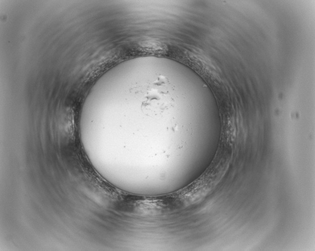 X0000088150320200705141555