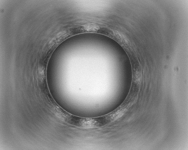 X0000088150321200705141555