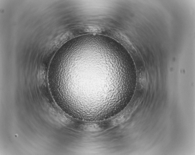 X0000088150322200705141555