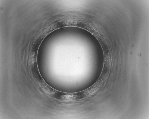 X0000088150323200705141555