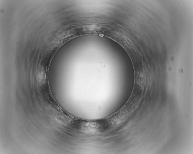 X0000088150324200705141555