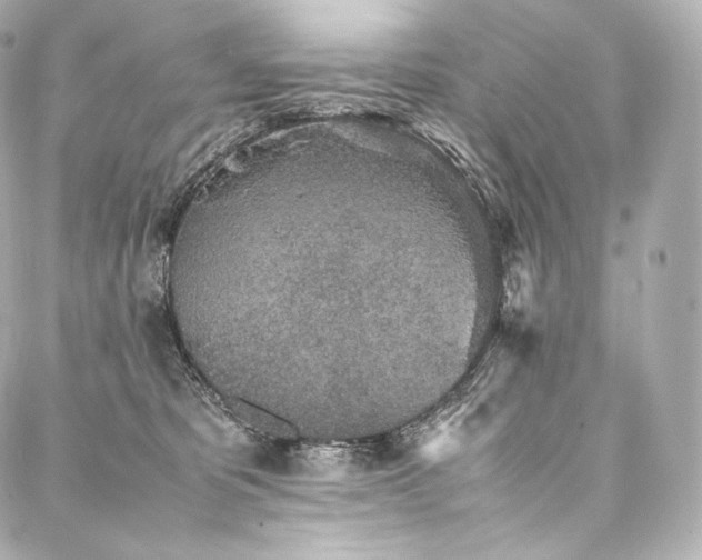 X0000088150325200705141555