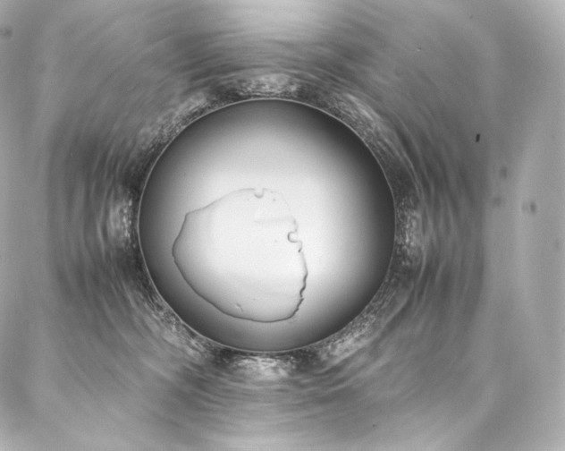 X0000088150326200705141555