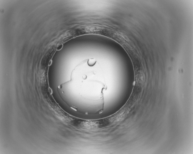 X0000088150327200705141555