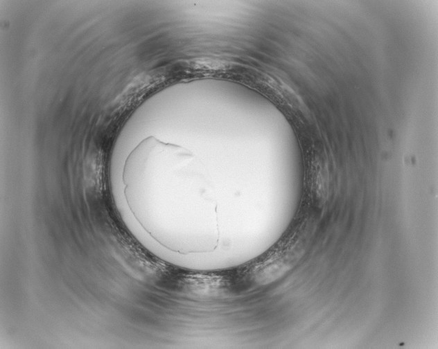 X0000088150328200705141555