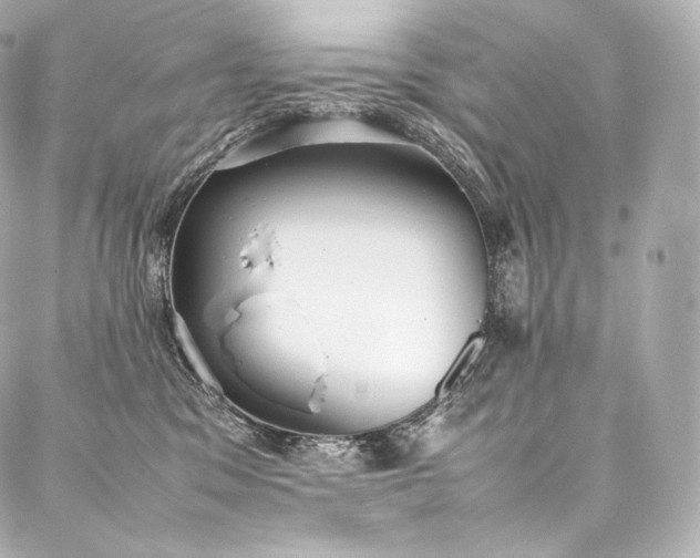 X0000088150329200705141555