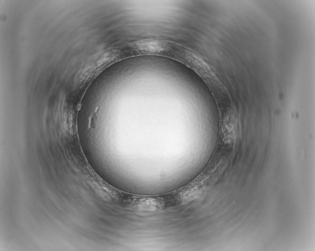 X0000088150330200705141555