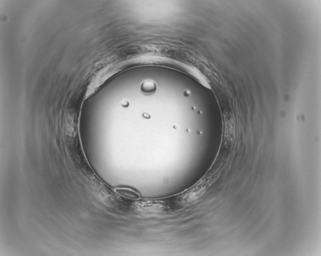 X0000088150331200705141555