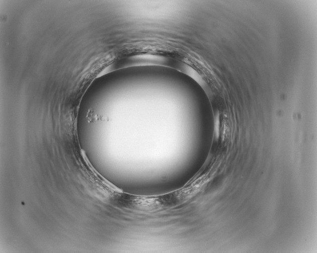 X0000088150333200705141555