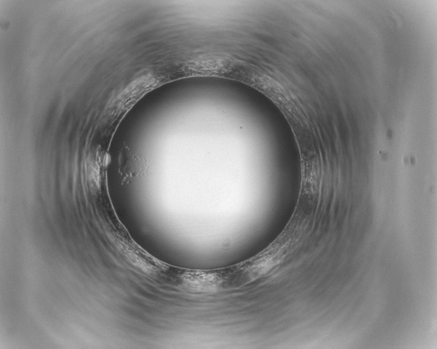 X0000088150334200705141555