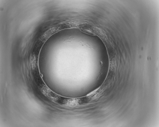 X0000088150335200705141555