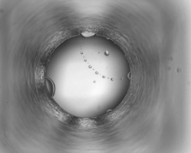 X0000088150336200705141555