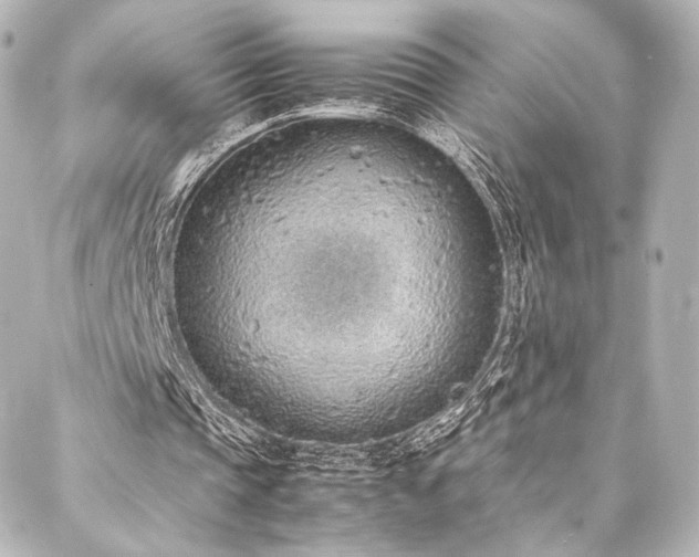 X0000088150337200705141554