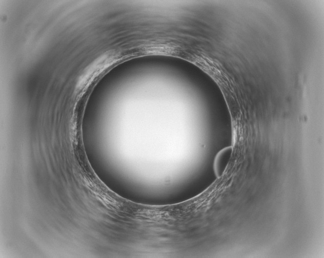 X0000088150339200705141554