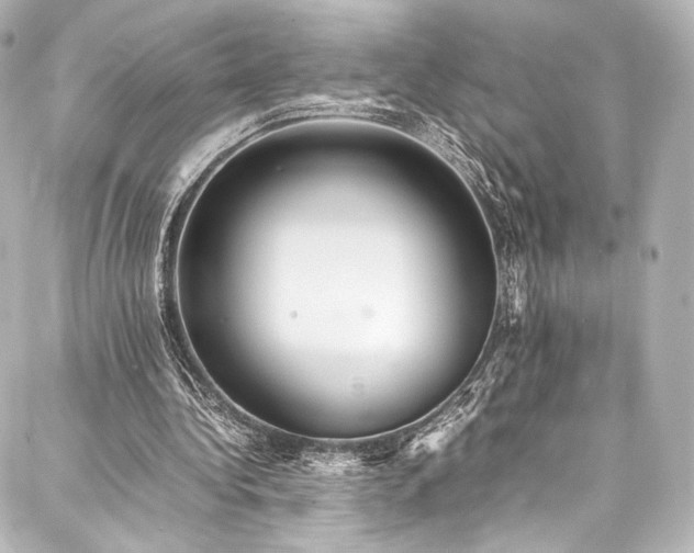 X0000088150340200705141554