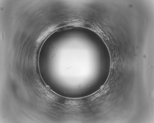 X0000088150341200705141554