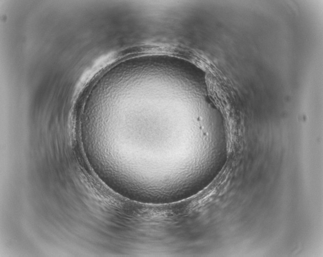 X0000088150343200705141554