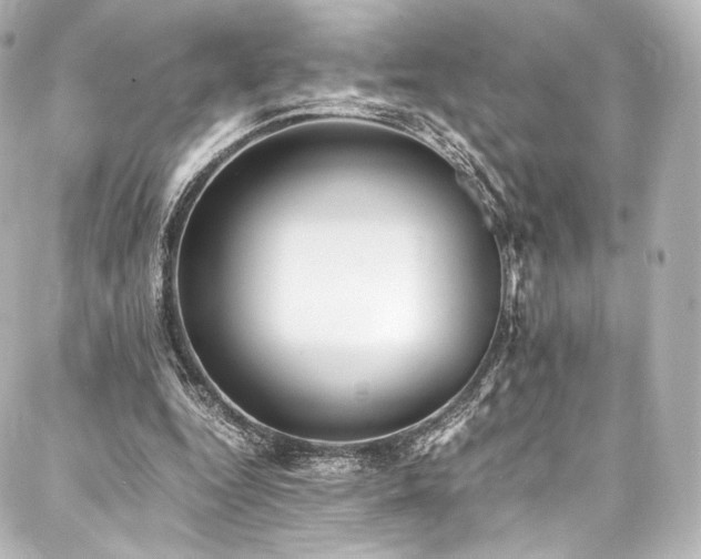 X0000088150344200705141554