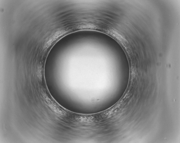 X0000088150345200705141554