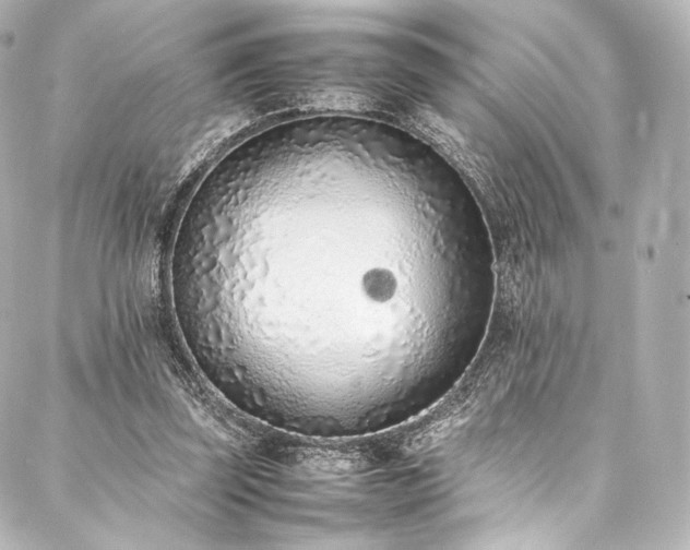 X0000088150347200705141554