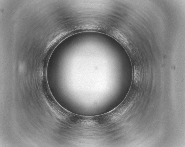 X0000088150348200705141554