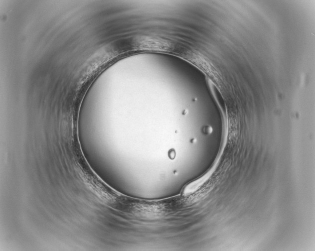 X0000088150349200705141554