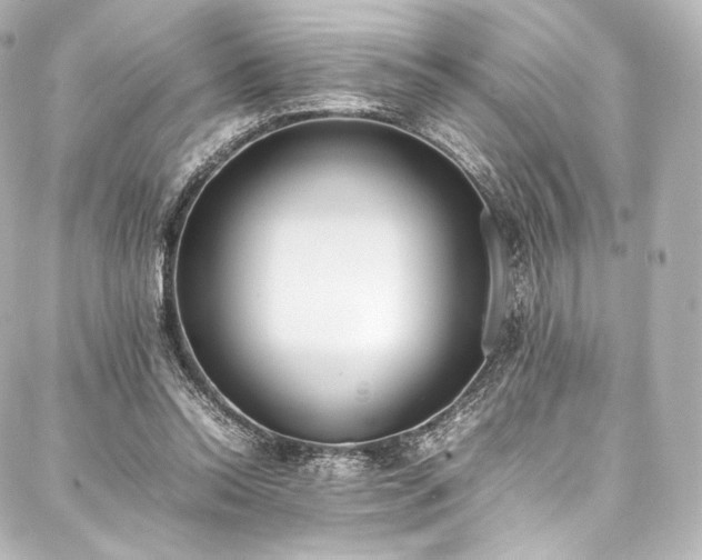 X0000088150350200705141554