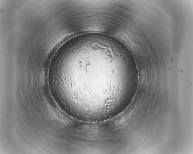 X0000088150351200705141554